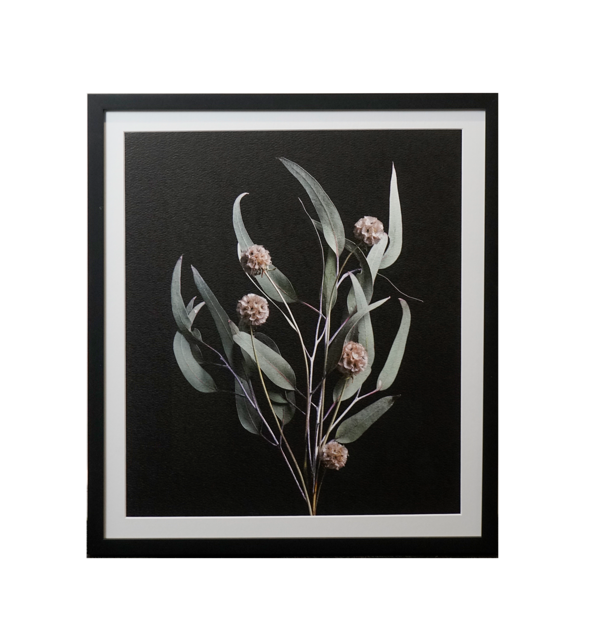 Framed Photographic Floral Print