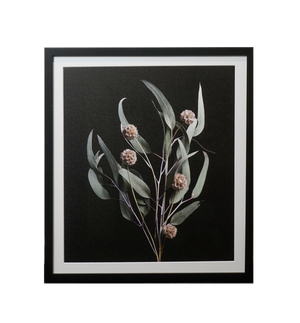 Framed Photographic Floral Print