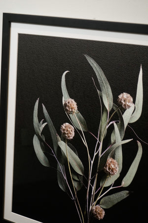 Framed Photographic Floral Print